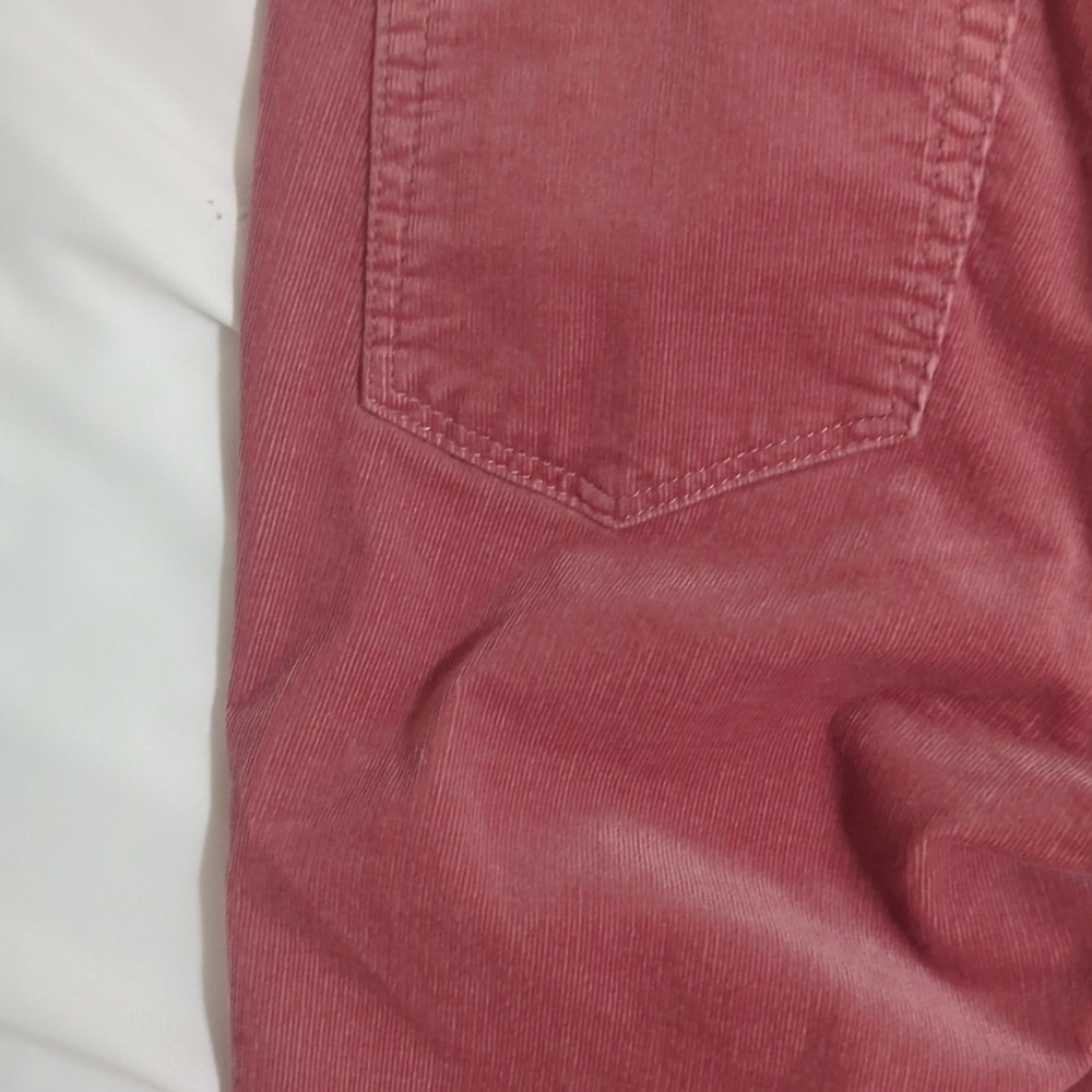 LOFT Skinny Pants in Corduroy, Color Pink Size 4/27 - Picture 13 of 15